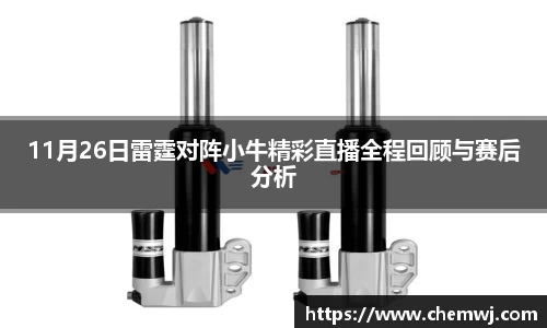 11月26日雷霆对阵小牛精彩直播全程回顾与赛后分析